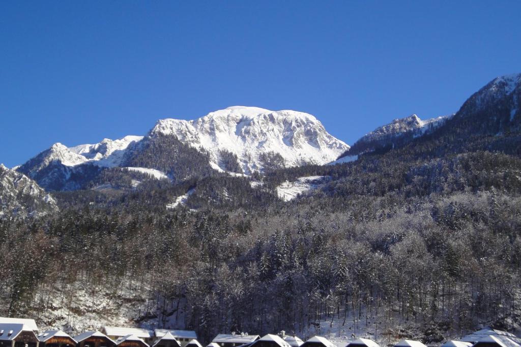 Schönau am Königssee Ferienwohnung Zentsch מראה חיצוני תמונה
